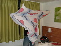 DSC00449.JPG