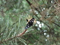 DSC00464.JPG