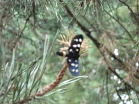 DSC00465.JPG