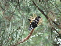 DSC00466.JPG