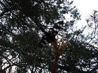 DSC00470.JPG
