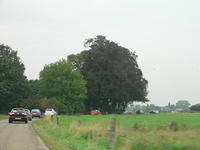 P1000845